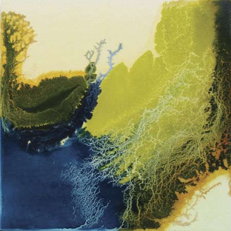 2015/Julie_Corbet-oil_on_board-Zonaria_II-40x40
