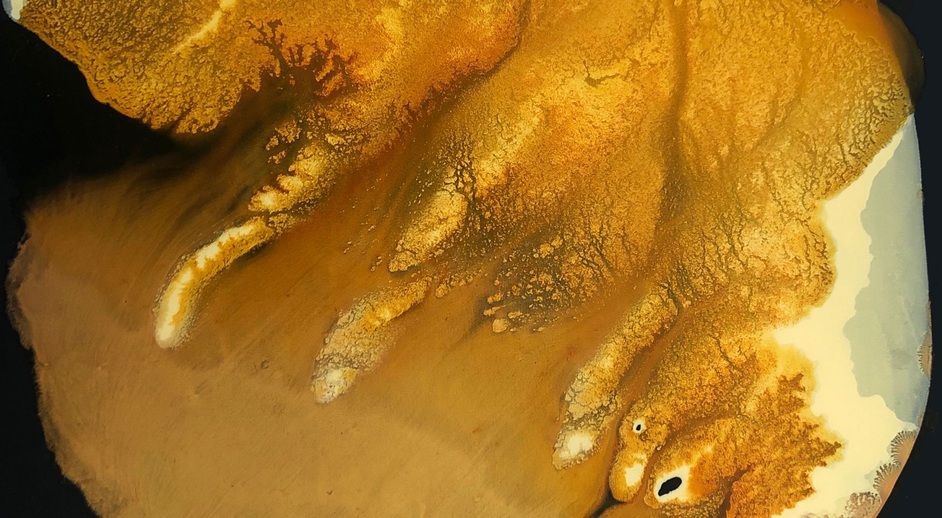 Julie_Corbet-oil_on_board_kaluste-02_1462-40x40_2020-detail