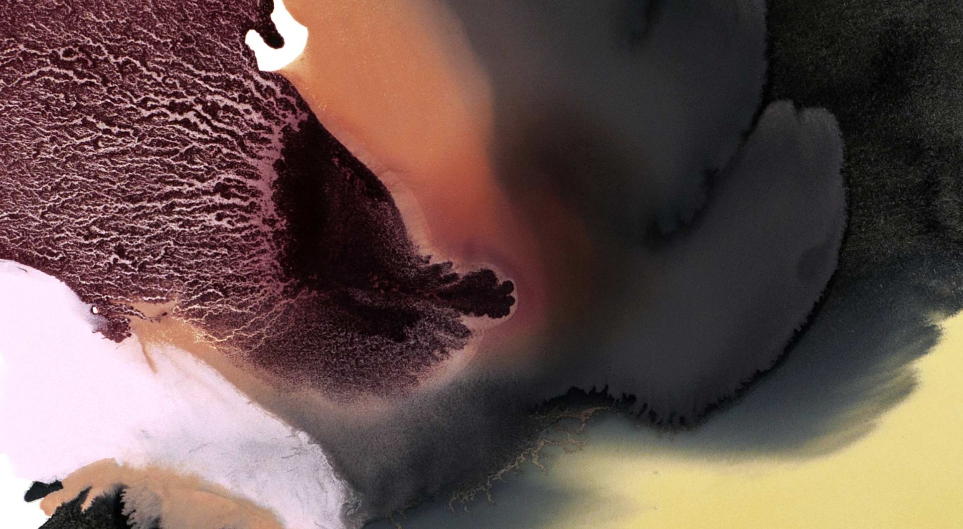 Julie_Corbet-oil-on-board-01-Ecarlate-detail